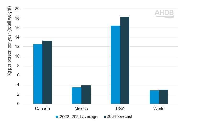 Bar graph showing cheese consumption per capita in North America (2022-24 average and 2034 forecast)